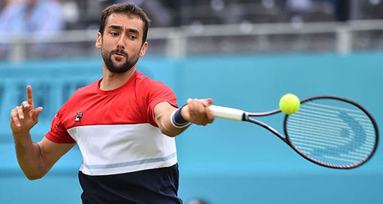 Who is Marin Cilic, Guardians, Kin, Age, Identity, Wiki, Level, Total assets and More.