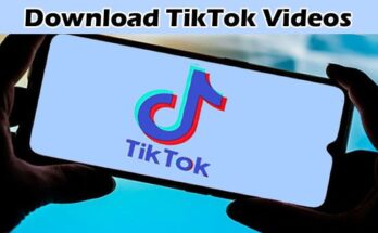 Complete Information About Download TikTok Videos Without a Watermark With Downloader