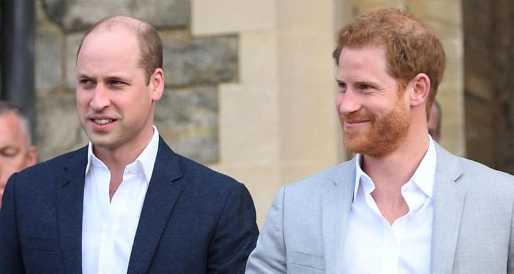 Prince Harry Siblings (Jun 2023) Meet William, Prince of Wales